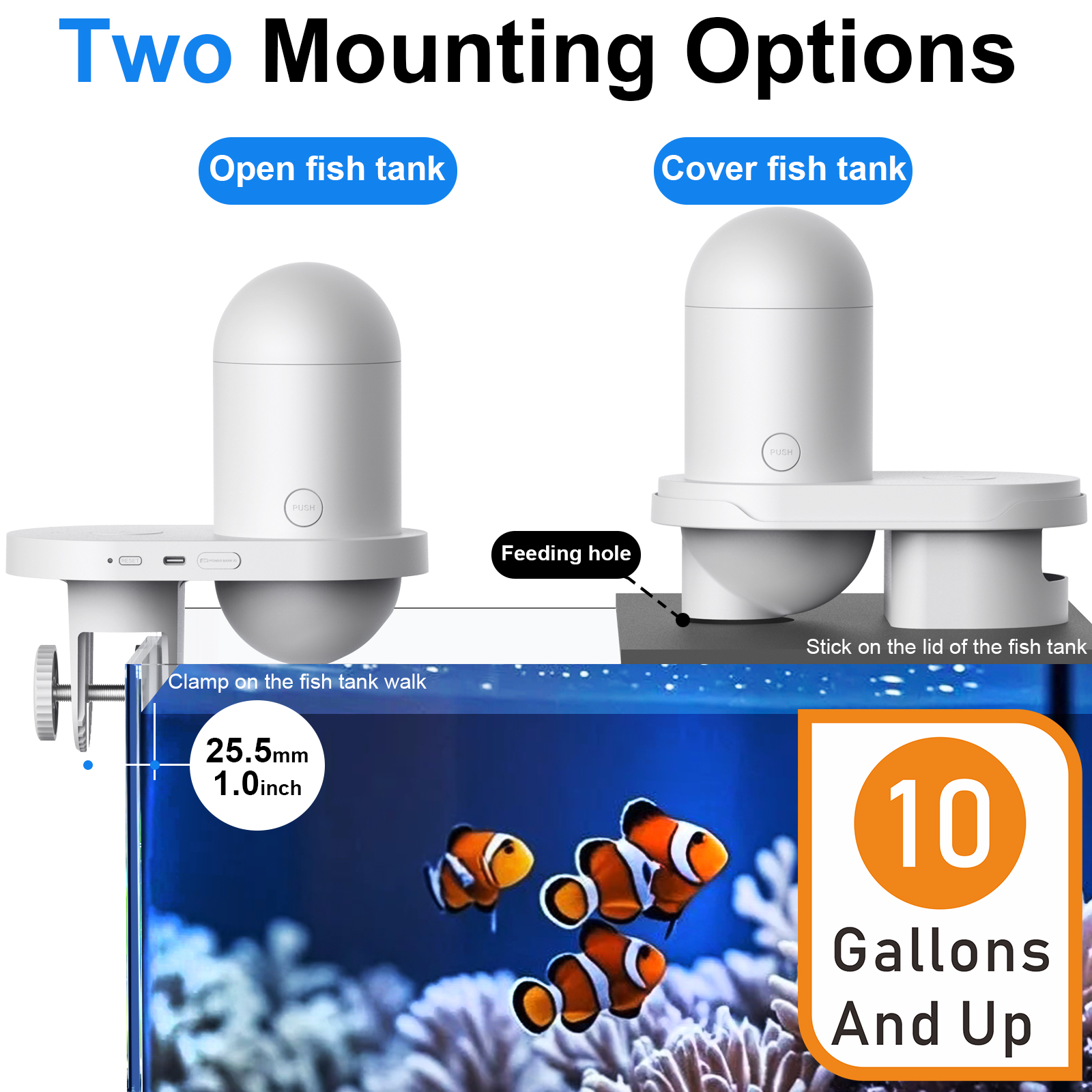 Automatic Fish Feeder With Cam - Fishing Line Dispenser 评论和价格