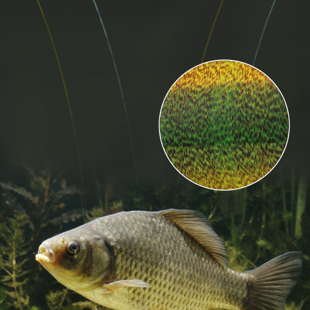 FTK 300M Invisible Fishing Lin - Fluorocarbon Line 评论和价格